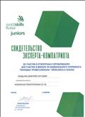 Свидетельство эксперта-компатриота  в отборочных соревнованиях для участия в финале VII национального чемпионата Молодые профессионалы WorldSkills-Юниоры по компетенции Мобильная робототехника (Москва-2019)